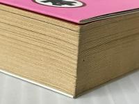 三崎町変人・奇人・怪人伝 (ザ・プロレス本 No. 5) ベースボール・マガジン社 菅原 誠※イタミ有