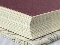 赤ちゃんから始める生活習慣病の予防 ニライ社 涌谷 桐子※イタミ有