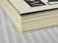 ハイテク療法「バイタル・リアクト・セラピー」が生命力を活性化させる! 現代書林 山崎 雅文※イタミ有