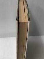 二つの国の物語〈第2部〉嵐ふきすさぶ国 (理論社の大長編シリーズ) 理論社 赤木 由子