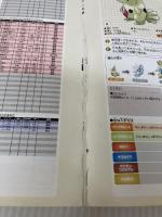 【イタミ有り】ポケットモンスター ファイアレッド・リーフグリーン 公式 ぜんこく図鑑完成ガイド