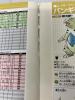 【イタミ有り】ポケットモンスター ファイアレッド・リーフグリーン 公式 ぜんこく図鑑完成ガイド