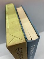 小説家の日々 (1971年)　小島信夫　冬樹社