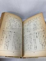 【イタミ有り】観光 KADOKAWA 細野 晴臣