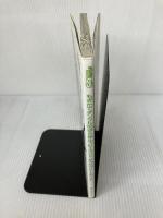 【イタミ有り】もぎたてチンクルのばら色ルッピーランド ザ・コンプリートガイド