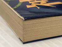 神通力入門 (1978年)※イタミ有