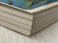 小鳥100種の飼い方 金園社 牧野 信司