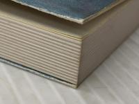 親鸞の批判精神 永田文昌堂 ※イタミ有