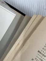 【※書き込み多数あり】子どもの成長とイメージ　 誠信書房 　ミシャエル・フォーダム