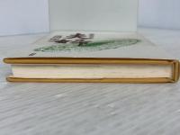 ※イタミ有。夫婦―愛を育てる 柏樹社 常岡一郎