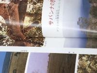 新・なぞの百科 児童憲章愛の会 中坂 幸蔵※カバー無し※イタミ有