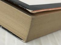 幽霊座 (角川文庫) KADOKAWA 横溝 正史※イタミ有