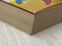 憤激の恋 (1981年) (角川文庫) 角川書店 佐藤 愛子※イタミ有