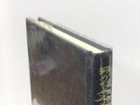 抑うつと不安の関係を説明する認知行動モデル 風間書房 福井 至※カバー無し