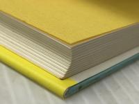 小さい水の精 徳間書店 オトフリート プロイスラー※イタミ有