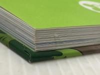 こうえんのおばけずかん じんめんかぶとむし 特装版 オリジナルLaQおばけセット (どうわがいっぱい 126) 講談社 斉藤 洋※カバー無し