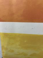 【イタミ有り】特装版　生かしていただいて　ありがとうございます 主婦と生活社 伊勢白山道