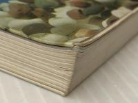 金魚の上手な飼い方: 失敗しないための正しい飼育法 (2色刷ビジュアルシリーズ) 日本文芸社 桜井 良平※イタミ有