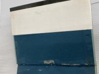 ※イタミ有。俺は生きるんだ (1962年) 青樹社 左近 隆