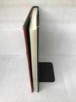 【イタミ有り】フランシス・ベイコンのパッション 三元社 フィリップ ソレルス