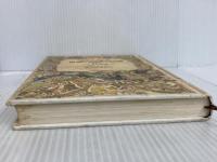 ※カバー無し。アフリカ編～クモとライオン、陸と川の王ゴード (オクスフォード世界の民話と伝説10)