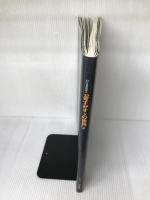 金子みすゞの世界展 朝日新聞社　1999年