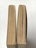 オランダ・ベルギー絵画紀行　昔日の巨匠たち　上下　　岩波文庫※イタミ有