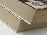 オランダ・ベルギー絵画紀行　昔日の巨匠たち　上下　　岩波文庫※イタミ有