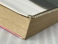 エバリーン夫人のふしぎな肖像 (講談社文庫 か 13-4) 講談社 柏葉 幸子※イタミ有