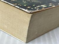 長恨歌 不夜城完結編 (角川文庫) KADOKAWA 馳 星周※イタミ有