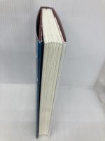 ITツールで新たな価値を創造するレバレッジ仕事術 ダイレクト出版 ニック・ソネンバーグ