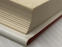 少女たちの桜通り (1980年) (昭和世代女流短編集〈5〉) 読売新聞社 富岡 多恵子※イタミ有