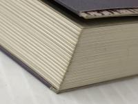 猫の大虐殺 (同時代ライブラリー 17) 岩波書店 ロバート ダーントン※イタミ有