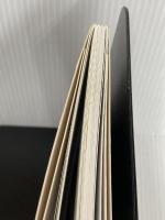 ※カバー無し。Galleria dell'Accademia. La guida ufficiale. Ediz. giapponese