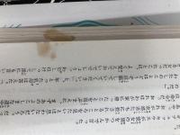 ※イタミ有。ホメーロスのオデュッセイア物語 岩波書店 バーバラ・レオニ ピカード