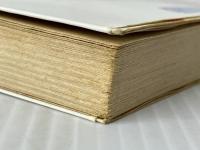 人魚がくれたさくら貝 (偕成社文庫2010) 偕成社 長崎 源之助※イタミ有