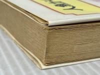 人魚がくれたさくら貝 (偕成社文庫2010) 偕成社 長崎 源之助※イタミ有