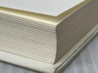 白仏 文藝春秋 辻 仁成※イタミ有