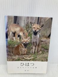 ひはつ―あるキツネの記録 ブイツーソリューション 森 京子