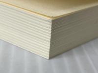 年寄りは本気だ: はみ出し日本論 (新潮選書) 新潮社 養老 孟司※カバー無し