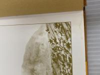 硫黄島守備隊―戦争と人間の記録 (1978年) 現代史出版会 越村 敏雄