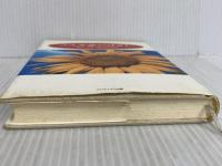 ※イタミ有。こんな恋の話 扶桑社 深沢 正樹