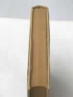 北アイルランドの襲撃者たち 新潮社 池央耿※イタミ有