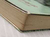 出発点に立つ女教師 (明治図書新書 36 ― 現代の女教師 4) 明治図書出版 斎藤 喜博※イタミ有