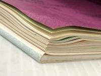 薔薇結婚 (1981年) サンリオ 安浪 雄嗣※イタミ有