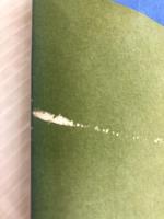 おバカさん (1959年)