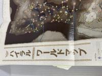 ※カバー無し。ゼルダの伝説 ブレス オブ ザ ワイルド パーフェクトガイド KADOKAWA 週刊ファミ通編集部