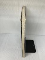 【イタミ有り】店舗のディテール No.1 飲食店の家具・造作 商店建築社 月刊商店建築編集部