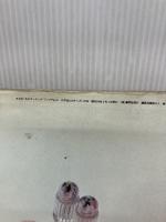 【イタミ有り】Non・noクッキング・ブック〈part 2〉お弁当とおそうざいの本 (1984年) (Non・no more books)