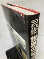 【イタミ有り】ジプシー 恒文社 ネボイシァ バト トマシェヴィッチ